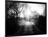 Bridge View in Central Park-Philippe Hugonnard-Framed Photographic Print