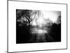 Bridge View in Central Park-Philippe Hugonnard-Mounted Art Print