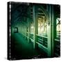 Bridge Walkway-Craig Roberts-Stretched Canvas