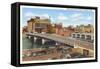 Bridge, Waterloo, Iowa-null-Framed Stretched Canvas