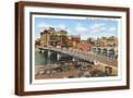 Brown Frame