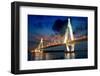 Bridge-liufuyu-Framed Photographic Print