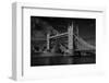 Bridge-C.S. Tjandra-Framed Photographic Print