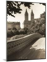 Bridge-Chris Bliss-Mounted Photographic Print