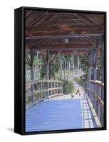 Bridge-Rusty Frentner-Framed Stretched Canvas