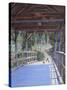 Bridge-Rusty Frentner-Stretched Canvas