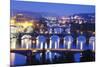 Bridges on the Vltava River, UNESCO World Heritage Site, Prague, Czech Republic, Europe-Christian Kober-Mounted Photographic Print