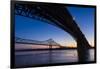 Bridges over the Mississippi River at Dawn in St. Louis, Missouri-Jerry & Marcy Monkman-Framed Photographic Print