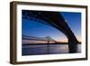 Bridges over the Mississippi River at Dawn in St. Louis, Missouri-Jerry & Marcy Monkman-Framed Photographic Print