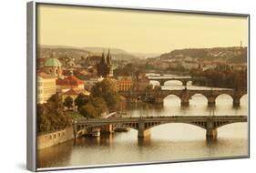 Bridges over the Vltava River Including Charles Bridge-Markus-Framed Photographic Print