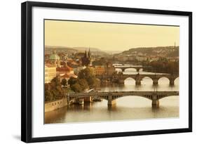 Bridges over the Vltava River Including Charles Bridge-Markus-Framed Photographic Print