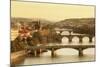 Bridges over the Vltava River Including Charles Bridge-Markus-Mounted Photographic Print