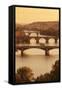 Bridges over the Vltava River Including Charles Bridge-Markus-Framed Stretched Canvas