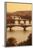 Bridges over the Vltava River Including Charles Bridge-Markus-Framed Photographic Print