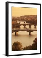 Bridges over the Vltava River Including Charles Bridge-Markus-Framed Photographic Print