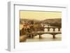 Bridges over the Vltava River Including Charles Bridge-Markus-Framed Photographic Print