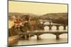 Bridges over the Vltava River Including Charles Bridge-Markus-Mounted Photographic Print