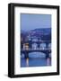 Bridges over the Vltava River Including Charles Bridge-Markus-Framed Photographic Print