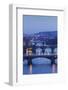 Bridges over the Vltava River Including Charles Bridge-Markus-Framed Photographic Print