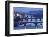 Bridges over the Vltava River Including Charles Bridge-Markus-Framed Photographic Print