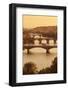 Bridges over the Vltava River Including Charles Bridge-Markus-Framed Photographic Print