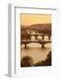 Bridges over the Vltava River Including Charles Bridge-Markus-Framed Photographic Print