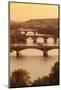 Bridges over the Vltava River Including Charles Bridge-Markus-Mounted Photographic Print