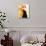 Bridget Fonda-null-Stretched Canvas displayed on a wall
