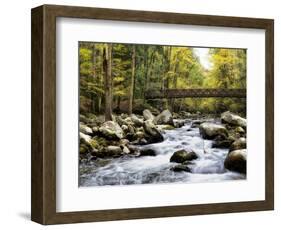 Bridging the Seasons-Danny Head-Framed Art Print