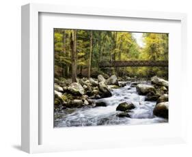 Bridging the Seasons-Danny Head-Framed Art Print