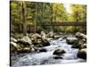 Bridging the Seasons-Danny Head-Stretched Canvas