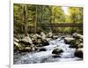 Bridging the Seasons-Danny Head-Framed Art Print