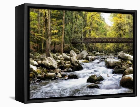 Bridging the Seasons-Danny Head-Framed Stretched Canvas