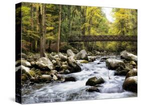 Bridging the Seasons-Danny Head-Stretched Canvas