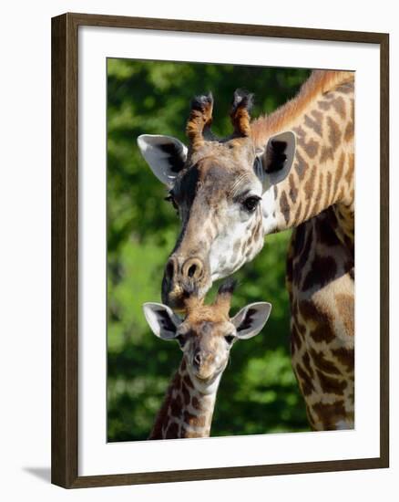 Bridgit and Her 3-Week Old Son Mac-null-Framed Photographic Print