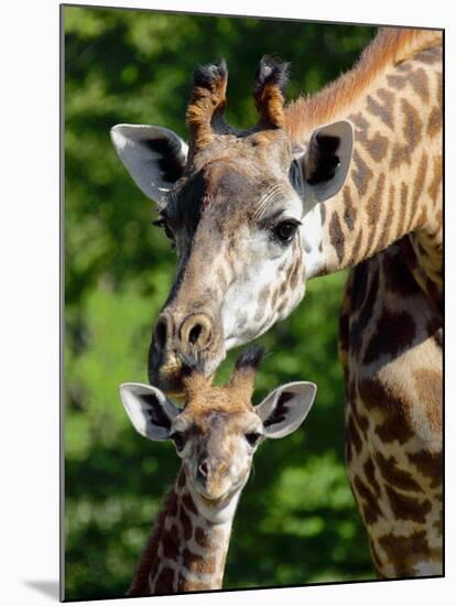 Bridgit and Her 3-Week Old Son Mac-null-Mounted Photographic Print