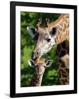 Bridgit and Her 3-Week Old Son Mac-null-Framed Photographic Print