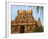 Bridhadishwara Temple, UNESCO World Heritage Site, Thanjavur (Tanjore), Tamil Nadu, India, Asia-Tuul-Framed Photographic Print