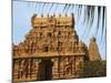 Bridhadishwara Temple, UNESCO World Heritage Site, Thanjavur (Tanjore), Tamil Nadu, India, Asia-Tuul-Mounted Photographic Print