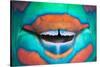 Bridled Parrotfish (Scarus Frenatus) Clownish Grin Reveals its Power Tools, Maldives, Indian Ocean-Franco Banfi-Stretched Canvas