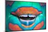 Bridled Parrotfish (Scarus Frenatus) Clownish Grin Reveals its Power Tools, Maldives, Indian Ocean-Franco Banfi-Mounted Photographic Print