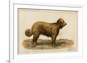 Brie Shepherd Dog at 1863 Paris Dog Show-null-Framed Premium Giclee Print