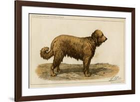 Brie Shepherd Dog at 1863 Paris Dog Show-null-Framed Premium Giclee Print