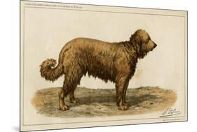 Brie Shepherd Dog at 1863 Paris Dog Show-null-Mounted Art Print