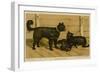 Brie Shepherd Dogs at 1865 Paris Dog Show-null-Framed Art Print