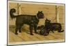 Brie Shepherd Dogs at 1865 Paris Dog Show-null-Mounted Art Print