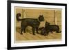 Brie Shepherd Dogs at 1865 Paris Dog Show-null-Framed Art Print