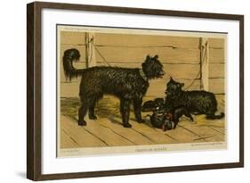 Brie Shepherd Dogs at 1865 Paris Dog Show-null-Framed Art Print