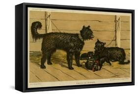 Brie Shepherd Dogs at 1865 Paris Dog Show-null-Framed Stretched Canvas