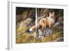 Brief Glimpse Through Cover-Trevor V. Swanson-Framed Giclee Print